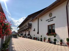 Casa Daiana, hotel en Ocna Şugatag