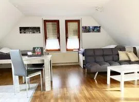 Schönes 1 Zimmer Apartment mit Dachterrasse