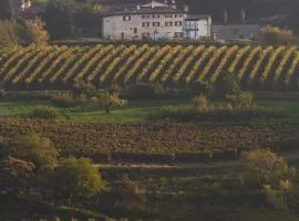 Ca' del Moro Wine Retreat