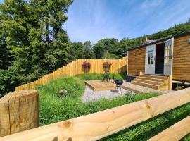 Peak District Shepherds Hut, chalé em Hope