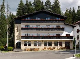 Manor Ski Hotel, hotel di Predeal