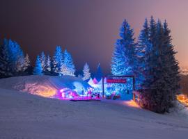 Village Igloo Morzine Avoriaz, hotel in Avoriaz