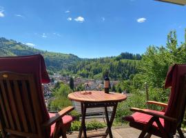 Ferienwohnung Traumblick – hotel w mieście Schönau im Schwarzwald