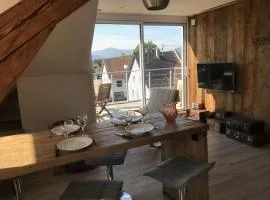 Appartement chaleureux et lumineux avec vue ! au centre Alsace