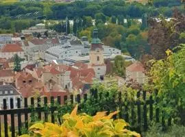 Blick über Krems mit Gartenpavillon