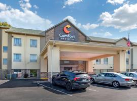 Comfort Inn & Suites, viešbutis mieste Sinsinatis