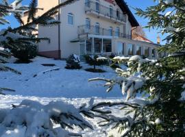 Pensiunea Romantic Belvedere Paltinis, Hotel in Păltiniş