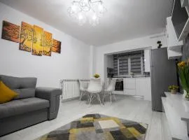 Apartament CENTRAL