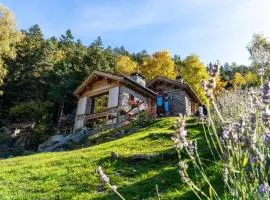 Resalbert Chalet Panorama