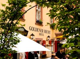 Hotel Goldener Hecht, hôtel à Heidelberg