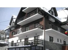 Residence Sinaia Apartment