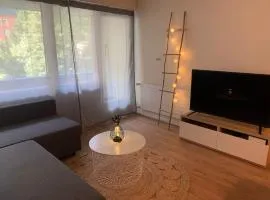 Super central - appartement 2,5pcs à Leukerbad