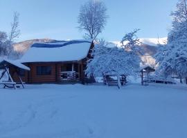 Cottage Лісовий, Hotel in Bukovets