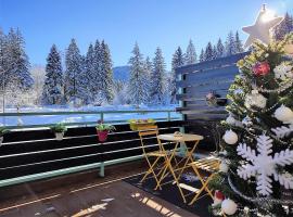 The Evergreen Nest - Silver Mountain, hotel u gradu Pojana Brašov