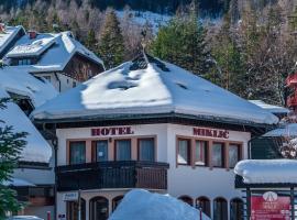 Garni Hotel Miklič, hotell i Kranjska Gora