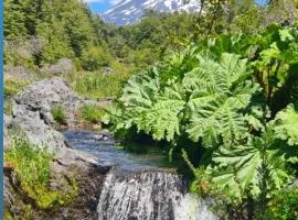 Vista al volcán con tinaja y río en Conguillío