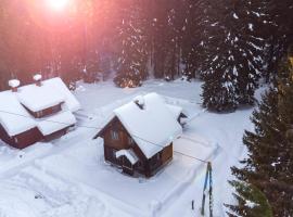 Goreljek에 위치한 아파트 Digital Detox Chalet Pokljuka