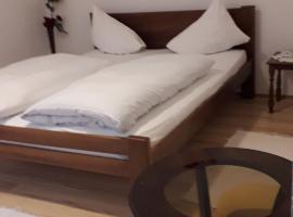 APARTMAN MILICA, Hotel in Požarevac