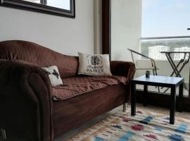 Eluchans Plaza 2, pet-friendly hotel in Viña del Mar