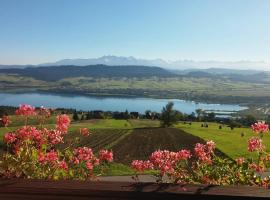 Pokoje u Chmielaków - Huba z widokiem na Jezioro Czorsztynskie Tatry i Pieniny Balia, hotel v destinácii Maniowy