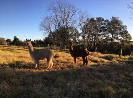 Muswellbrook Northside Bed & Breakfast ที่พักให้เช่าในมัสเซลบรูค