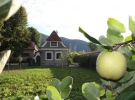 Bioweingut Schmidl Rosenstöckel