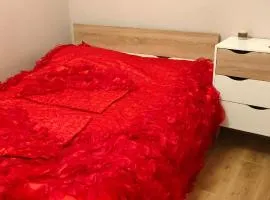 Chambre d'hôtes à louer proche Geneve Parking Gratuit privé