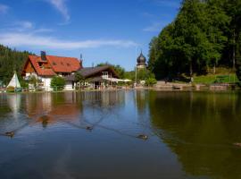 Self-check-in Ferienwohnungen & Apartments am Bergsee โรงแรมในทรีแบร์ก