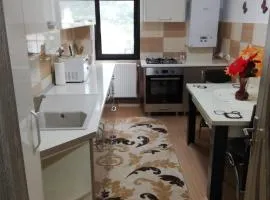 Apartament Ioana