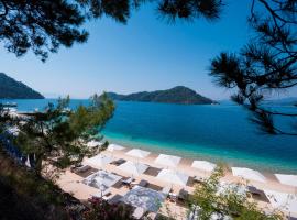 D Resort Gocek Special Category，位于戈西克的度假村