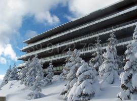 Resort Palace Sestriere 1 e 2、セストリエーレのホテル