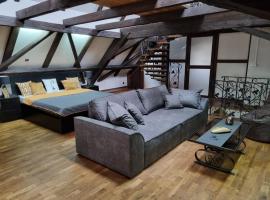 Galerie Vila Lucia 5 -Loft apartmán, hotell i Plzeň