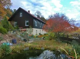 Spacious apartment in Harz near ski area