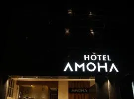 Hotel Amoha