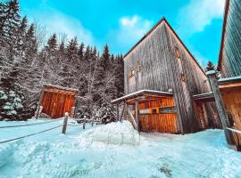 Naturepark Resort, casa de muntanya a Harrachov