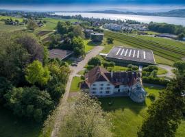 Centre Loewenberg, hotel i Murten