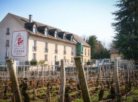 Hôtel-Spa Ô Rouge - Gevrey-Chambertin - Teritoria، فندق في جيفري شامبرتان