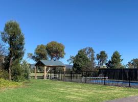 Mudgee Vineyard Motor Inn, motel in Mudgee