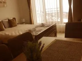 Apartman “N 17”Milmari-Kopaonik