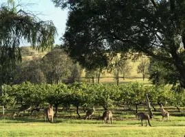 Kinloch Cottage renovated to new on Daisy Hill Vineyard