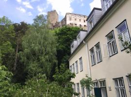 Schöne Wohnung im Helenental: Baden şehrinde bir otel