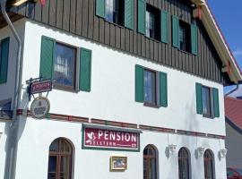 Pension Drei Elstern, skihotel i Schierke