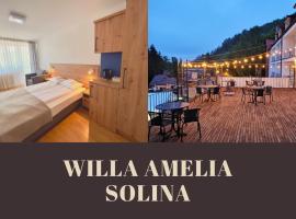 Willa Amelia, hotel sa Solina