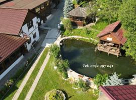 Cazare Rustic Nagy, Hotel in Vişeu de Sus