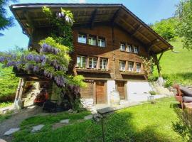 Chalet Elza, hotel v destinaci Lauterbrunnen