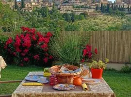 B&B Il Fienile San Gimignano