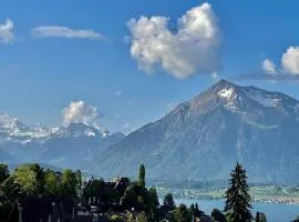 Schöne Ferienwohnung mit Seeblick