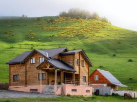 Gudauri में, होटल Snow Time Eco Chalet