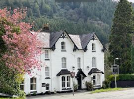 The Buckley Arms, 3-sterrenhotel in Dinas Mawddwy