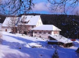 Pension Löffelschmiede, hótel í Lenzkirch